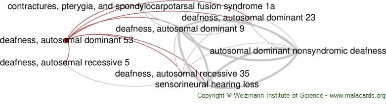 Deafness Autosomal Dominant