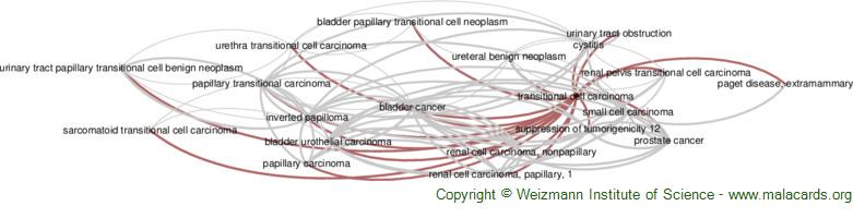 Transitional Cell Carcinoma disease: Malacards - Research Articles 