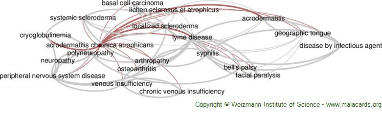 acrodermatitis chronica atrophicans