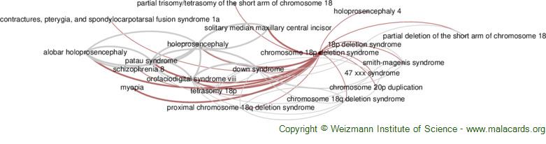 Chromosome 18p Deletion Syndrome Disease Malacards Research Articles Drugs Genes Clinical 5642