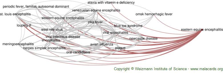 Eastern Equine Encephalitis disease: Malacards - Research Articles, Drugs, Genes, Clinical Trials