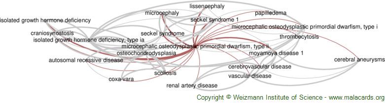 Microcephalic Osteodysplastic Primordial Dwarfism Type Ii Disease Malacards Research 