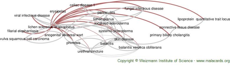Lichen Et disease: - Research Articles, Drugs, Genes, Clinical Trials