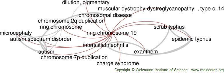 Onverenigbaar Peer Verplaatsing Ring Chromosome 19 disease: Malacards - Research Articles, Drugs, Genes,  Clinical Trials