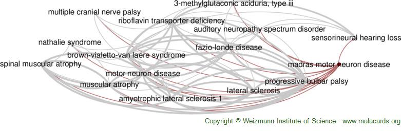 Madras Motor Neuron Disease Disease: Malacards - Research Articles ...