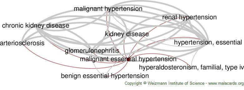 malignant-essential-hypertension-disease-malacards-research-articles