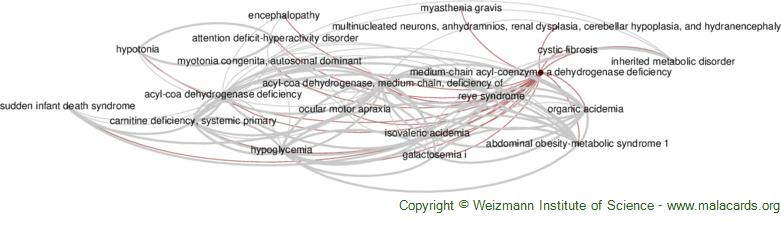 Medium Chain Acyl Coenzyme A Dehydrogenase Deficiency Disease Malacards Research Articles