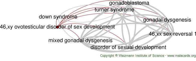 46 Xy Ovotesticular Disorder Of Sex Development Disease Malacards