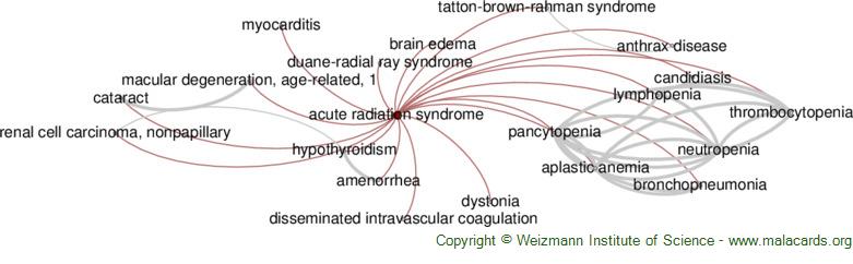 Acute Radiation Syndrome Disease: Malacards - Research Articles, Drugs ...