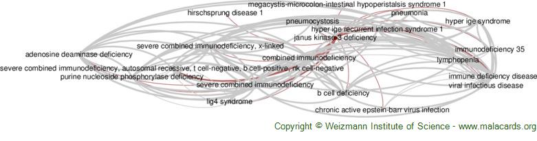 Janus Kinase-3 Deficiency Disease: Malacards - Research Articles, Drugs ...