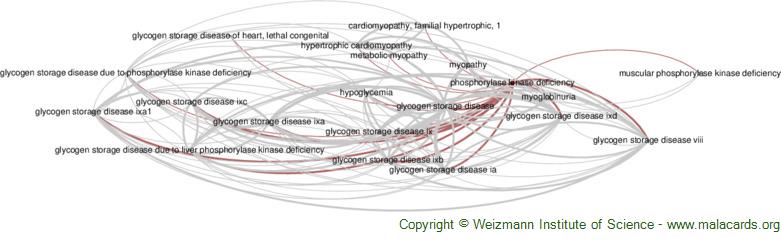 Phosphorylase Kinase Deficiency Disease Malacards Research Articles