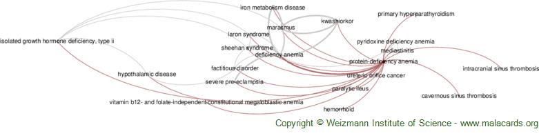 anemia-guide-causes-symptoms-and-treatment-options