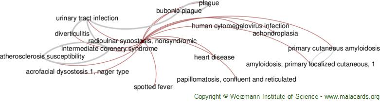 Radioulnar Synostosis, Nonsyndromic Disease: Malacards - Research ...