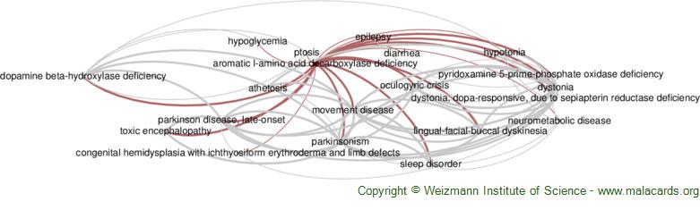 Aromatic L-Amino Acid Decarboxylase Deficiency - Symptoms, Causes,  Treatment