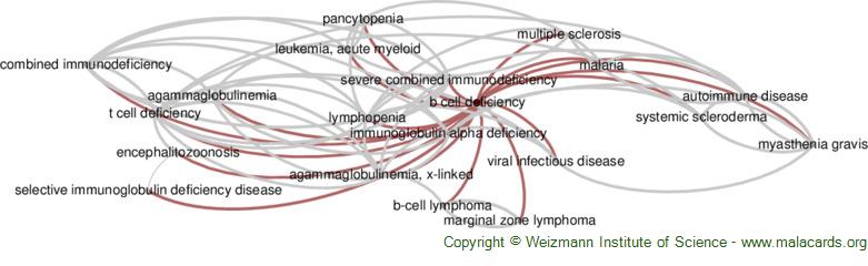 Nfkb2 deficiency and its impact on plasma cells and immunoglobulin