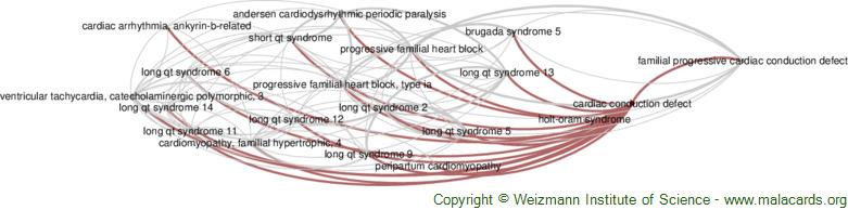 Cardiac Conduction Defect disease: Malacards - Research Articles