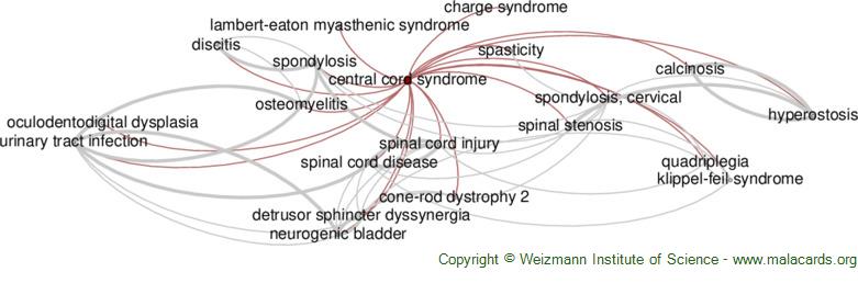 central cord syndrome