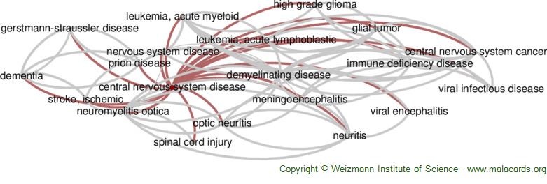 Central Nervous System Disease Disease Malacards Research Articles Drugs Genes Clinical Trials