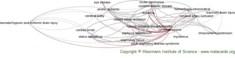 Brain Hypoxia Is Associated With Neuroglial Injury in Humans Post–Cardiac  Arrest