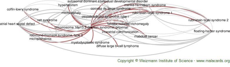 Rubinstein–Taybi syndrome associated with Chiari type I malformation caused  by a large 16p13.3 microdeletion: A contiguous gene syndrome? - Wójcik -  2010 - American Journal of Medical Genetics Part A - Wiley Online Library