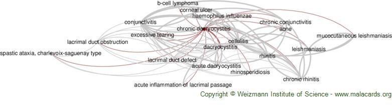 Rubinstein-Taybi Syndrome 2 disease: Malacards - Research Articles, Drugs,  Genes, Clinical Trials