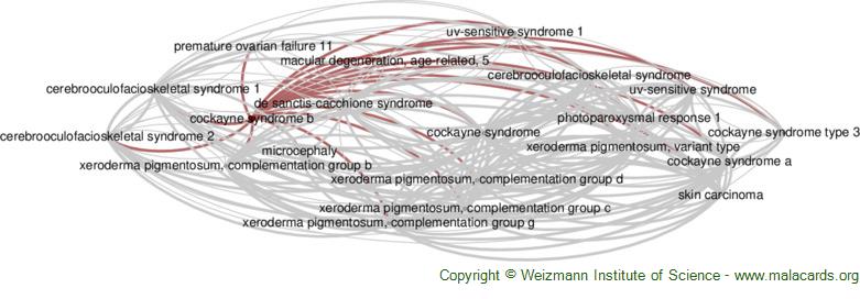 Cornelia de Lange Syndrome - GeneReviews® - NCBI Bookshelf