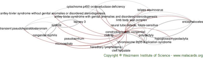 Omphalocele as component of multiple anomaly syndrome/sequence