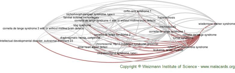 Rubinstein-Taybi Syndrome 2 disease: Malacards - Research Articles, Drugs,  Genes, Clinical Trials