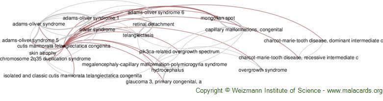 Rubinstein-Taybi Syndrome 2 disease: Malacards - Research Articles, Drugs,  Genes, Clinical Trials