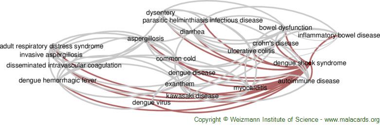 sindrome da shock dengue