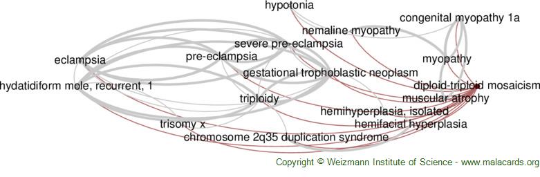 Ploidy - Wikipedia