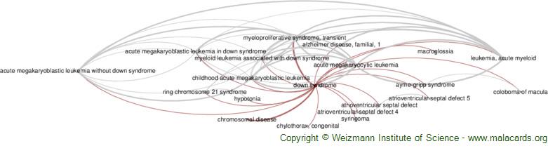 Down Syndrome: MedlinePlus