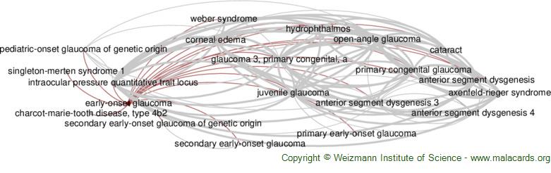 Rubinstein-Taybi Syndrome 2 disease: Malacards - Research Articles, Drugs,  Genes, Clinical Trials