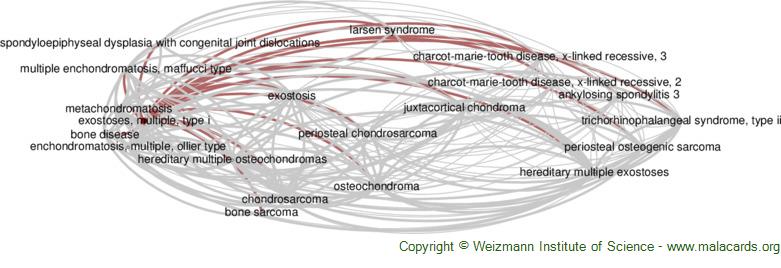 Hereditary multiple exostoses with spinal cord compression.