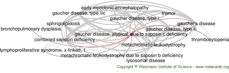 Niemann–Pick disease - Wikipedia