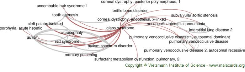 glass-syndrome-disease-malacards-research-articles-drugs-genes