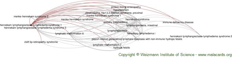 Rubinstein-Taybi Syndrome - GeneReviews® - NCBI Bookshelf