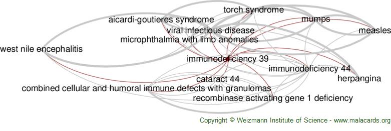 Immunodeficiency 39 Disease: Malacards - Research Articles, Drugs ...