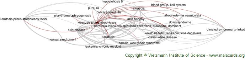 Niemann-Pick disease type C. The diagram represents subtypes and