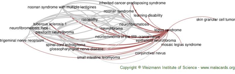 Legius Syndrome - an overview