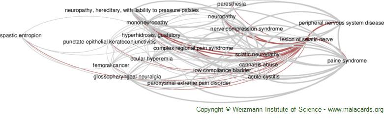 http://malacards.blob.core.windows.net/network-images-v5-17-5/lesion_of_sciatic_nerve_related_diseases.jpg