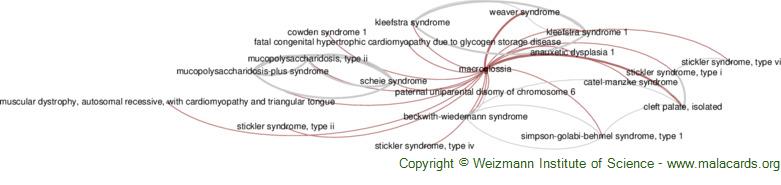Beckwith-Wiedemann Syndrome - GeneReviews® - NCBI Bookshelf
