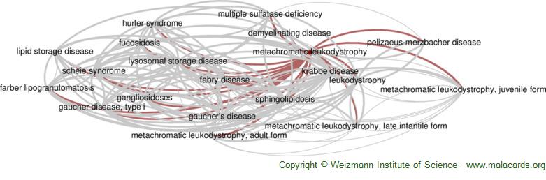 metachromatic leukodystrophy