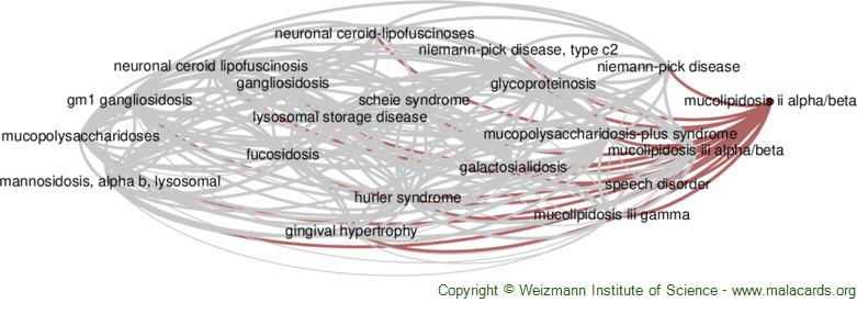 Morphology of Niemann-Pick type A metabolic storage disorder