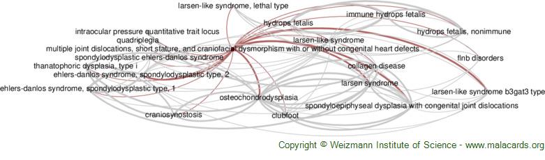 Facial dysmorphism, skeletal anomalies, congenital glucoma