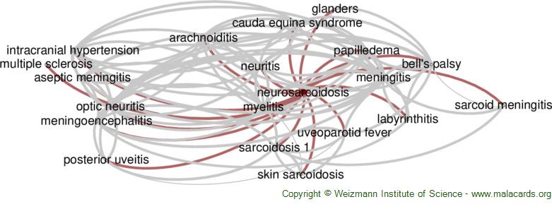 http://malacards.blob.core.windows.net/network-images-v5-17-5/neurosarcoidosis_related_diseases.jpg