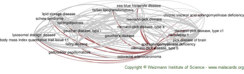 Hepatocellular carcinoma as a complication of Niemann‐Pick disease
