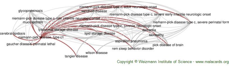 Lipid trafficking defects in Niemann-Pick type C disease