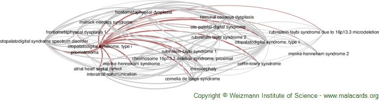 Rubinstein-Taybi syndrome - Atlas of Human Malformation Syndromes in  Diverse Populations