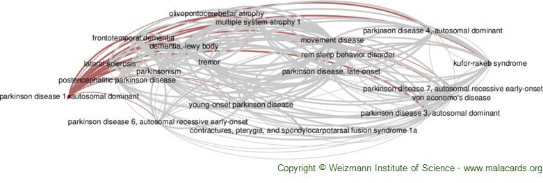 Niemann-Pick type C disease is associated with mtDNA disorganization.